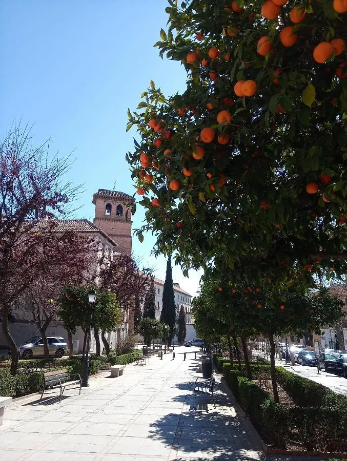 Apartamento Cueva La Taracea Apartment Granada